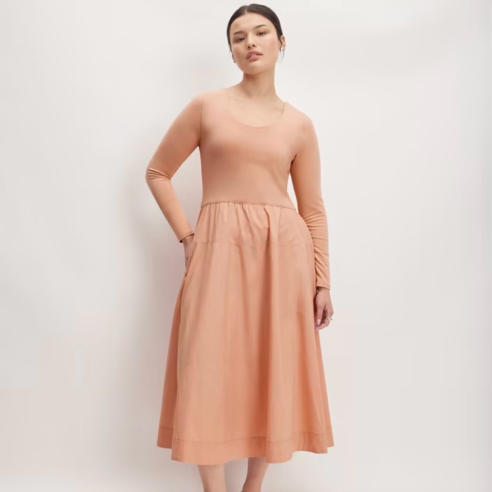 Everlane The Long Sleeve Riviera Dress
